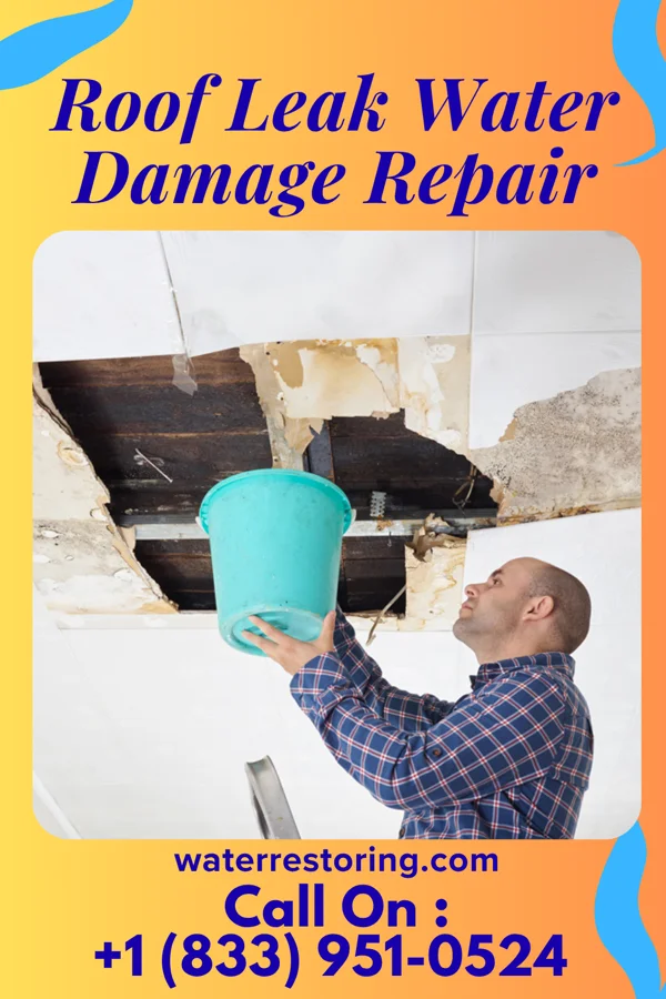 Roof Leak Water Damage Repair in Hard Rock, AZ